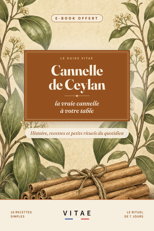 Couverture de l’e-book VITAE « Cannelle de Ceylan, la vraie cannelle à votre table »