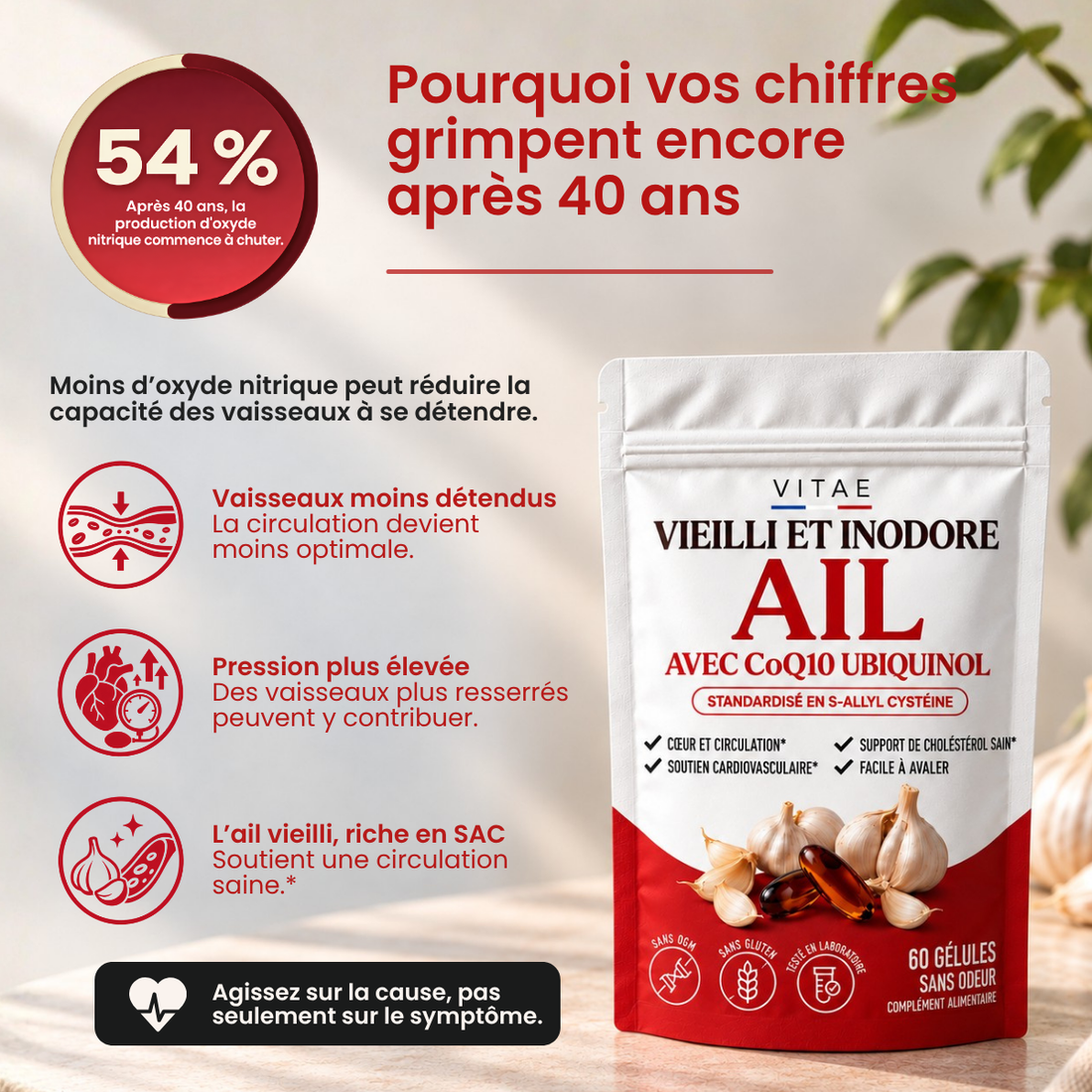 Extrait d'Ail Vieilli 24 Mois - 100% Inodore