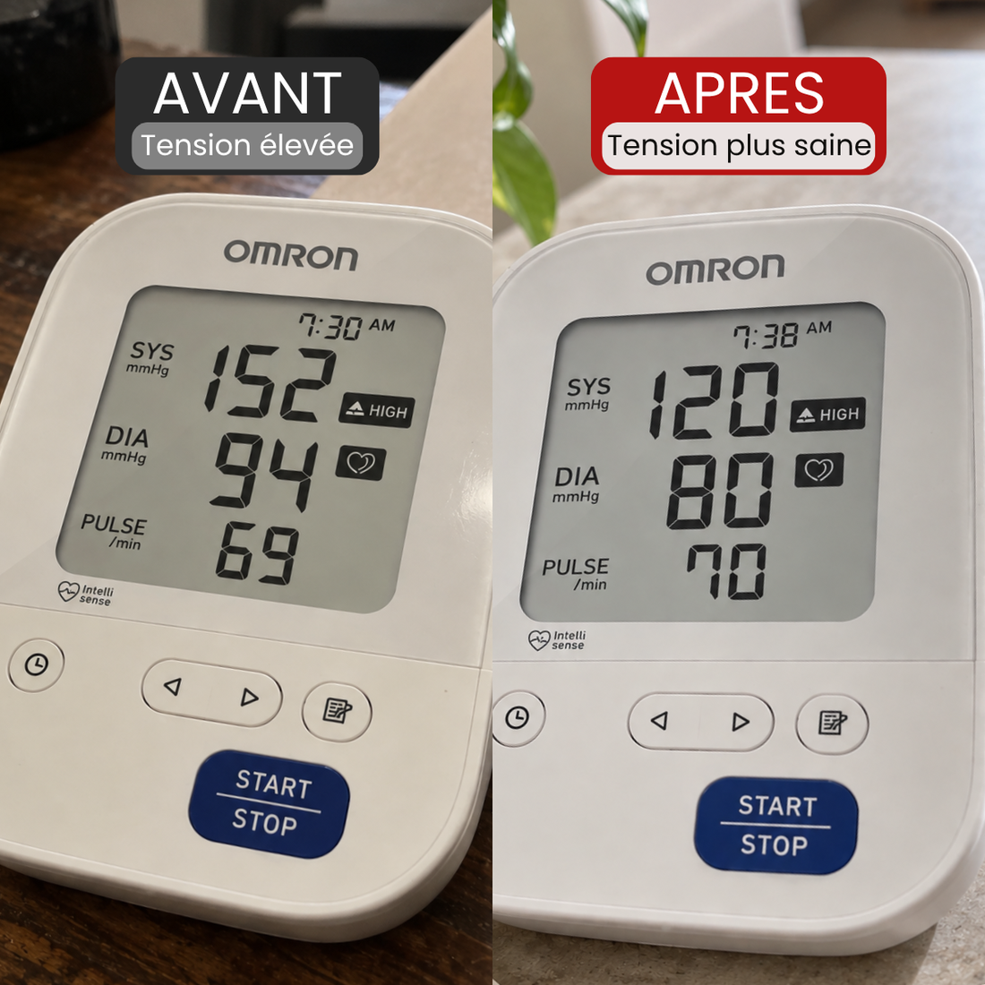 Extrait d'Ail Vieilli 24 Mois - 100% Inodore