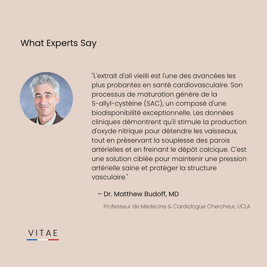 Extrait d'Ail Vieilli 24 Mois - 100% Inodore