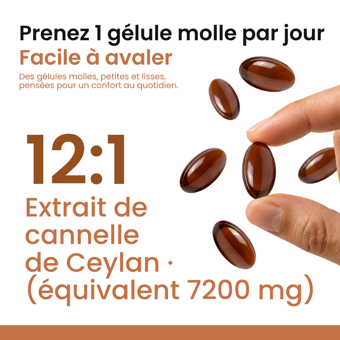 Extrait de Cannelle de Ceylan 12:1