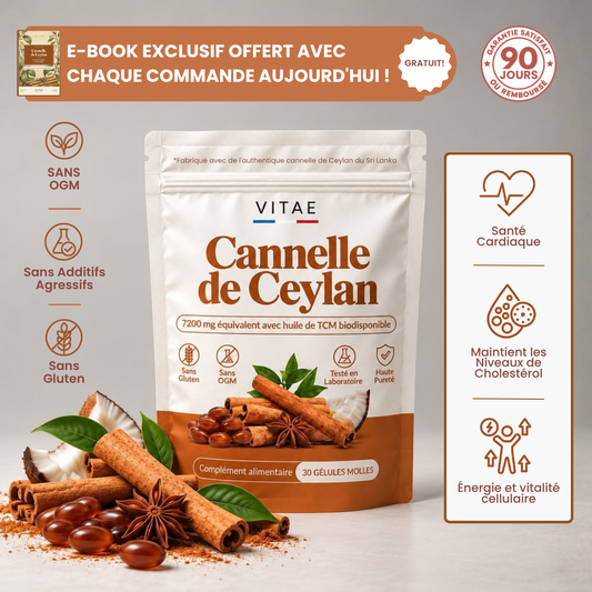 Extrait de Cannelle de Ceylan 12:1