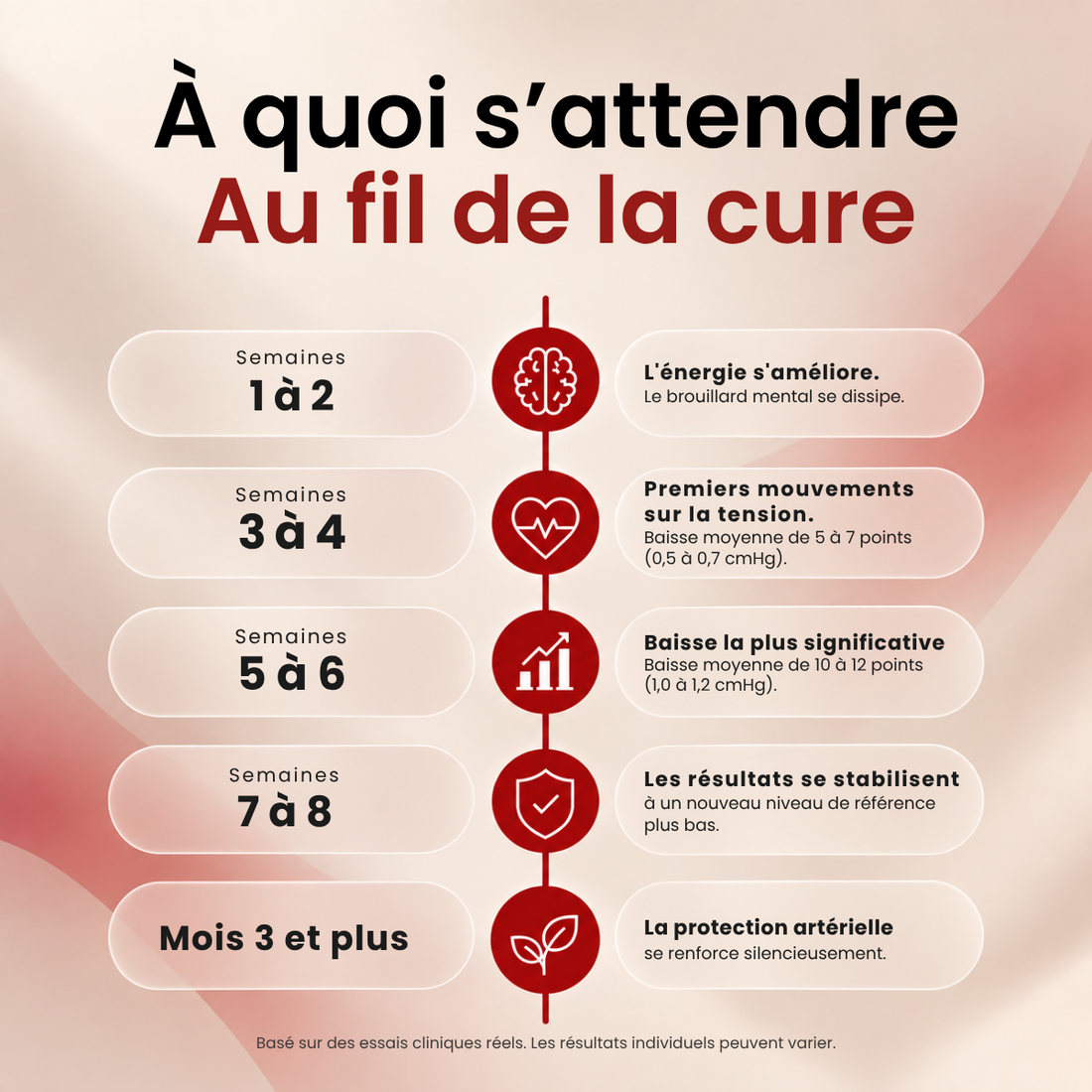 Extrait d'Ail Vieilli 24 Mois - 100% Inodore