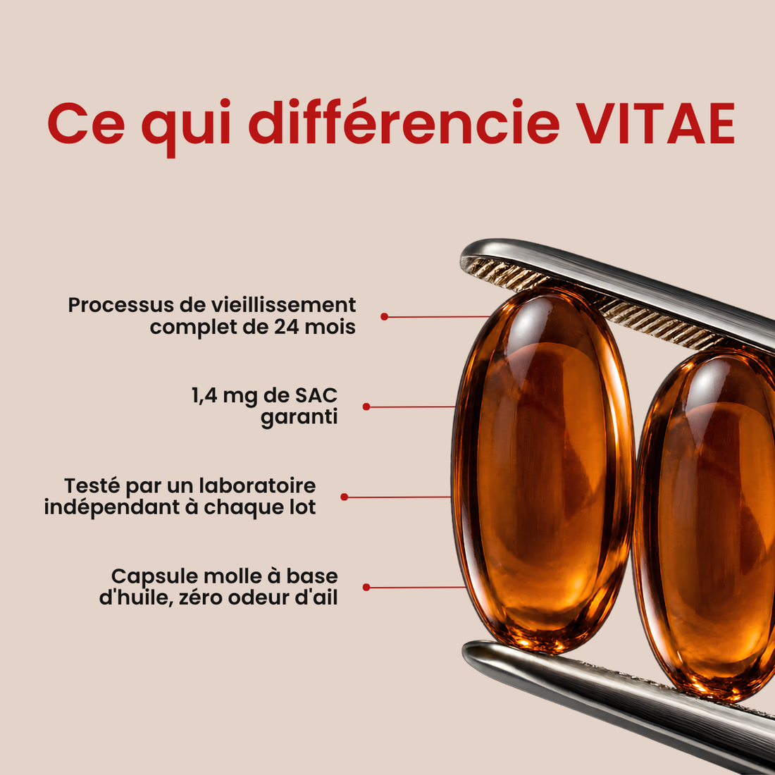 Extrait d'Ail Vieilli 24 Mois - 100% Inodore